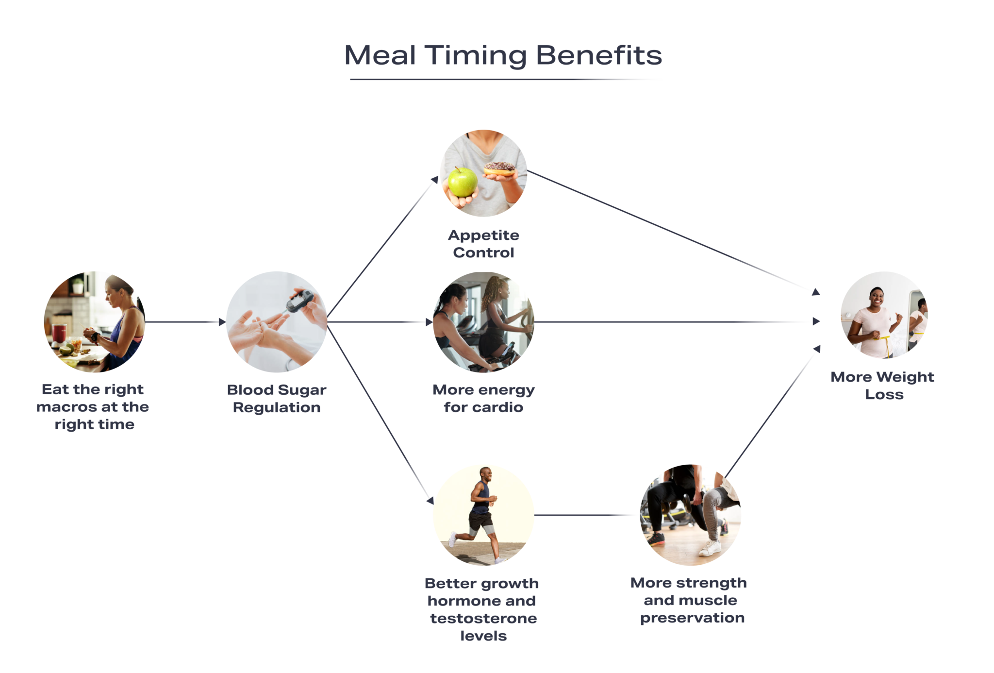 View of Why timing your meal matters - Pnoe