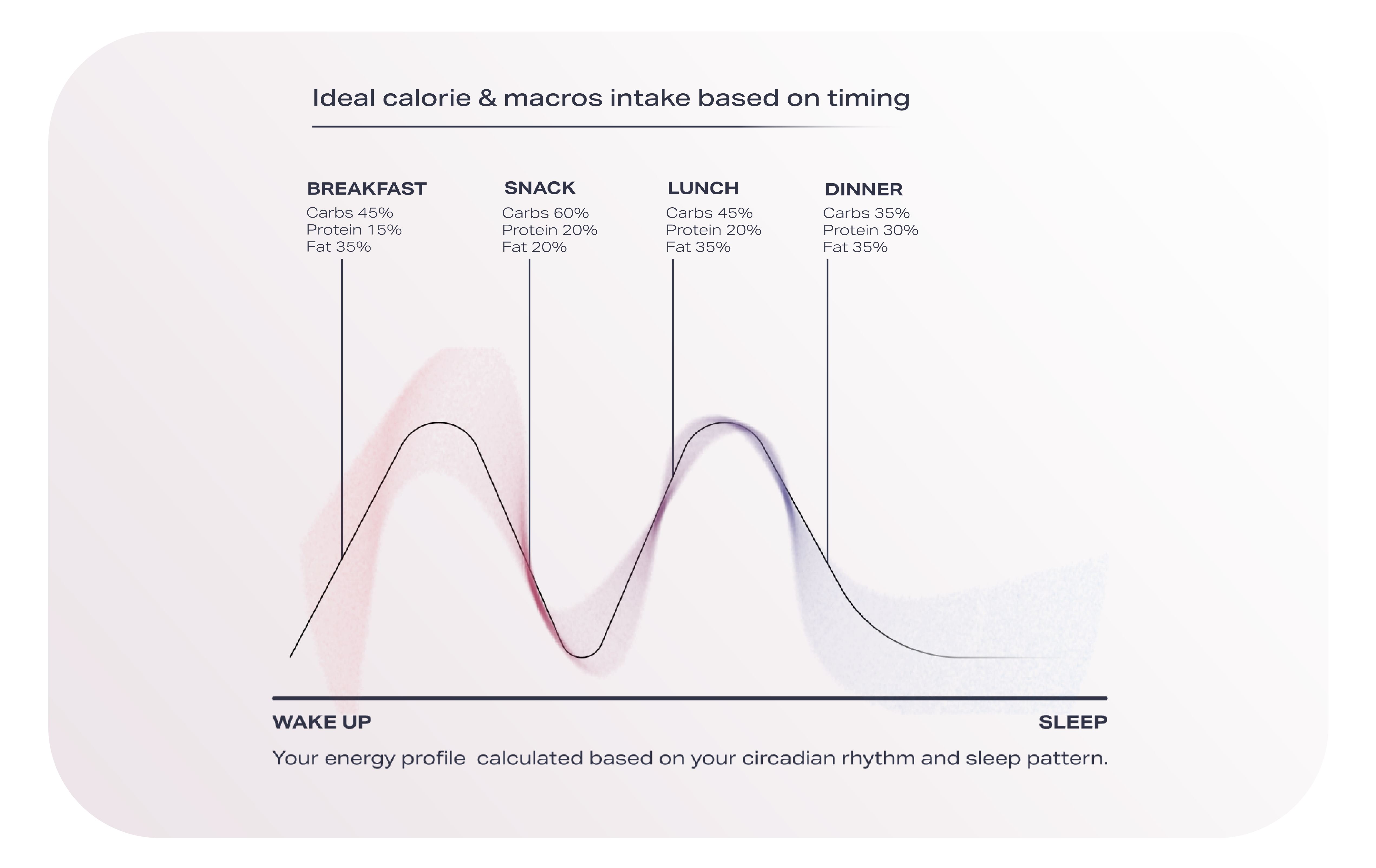 why-timing-your-meal-matters-pnoe