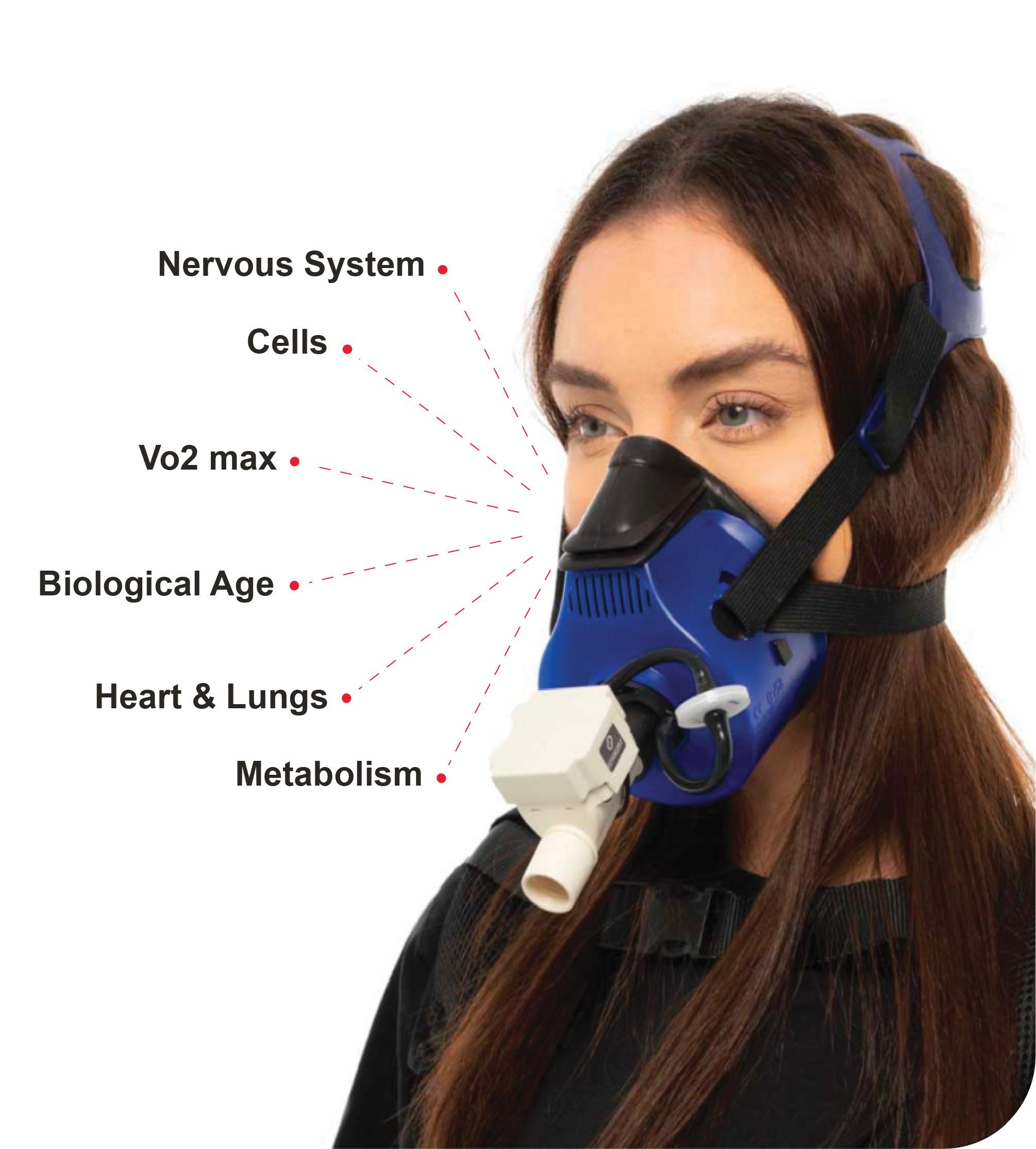 VO2max biomarker display on woman wearing PNOĒ mask: biological age, heart, lungs, cells, brain, metabolism.