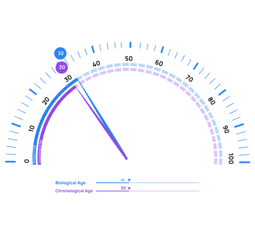 VO2 Max-based biological age vs chronological age progress chart for longevity tracking.