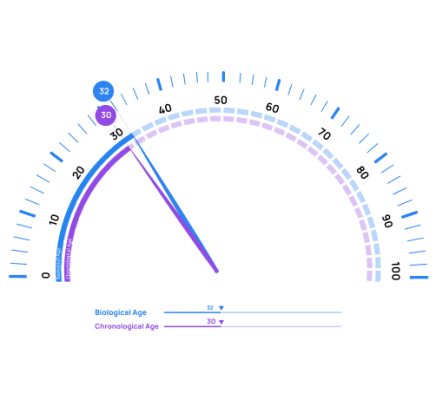 VO2 Max-based biological age vs chronological age progress chart for longevity tracking.